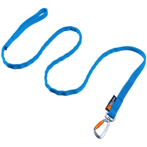 Non-stop dogwear Bungee Leash LTD | Leine für bikejøring, scootering und skijøring | Twistlock-Karabiner für 300 kg | 2,8m | Farbe: blau