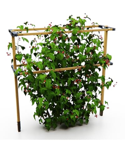 Gusta Garden Berry Buddy - Flexible Rankhilfe für Beeren: Himbeeren, Brombeeren & Heidelbeeren, erweiterbar, produziert in der EU, Rankgitter aus Holz (120cm)