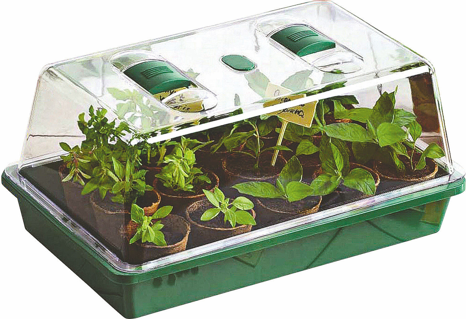 Spetebo Mini Gewächshaus 38x24x18 cm, Anzuchtschale mit Lüftungsschlitzen, grün/transparent