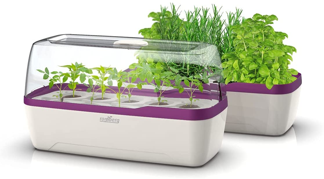 Romberg BoQube L Plus Pflanzsystem, Farbe Weiß-Pflaume, PAK-frei