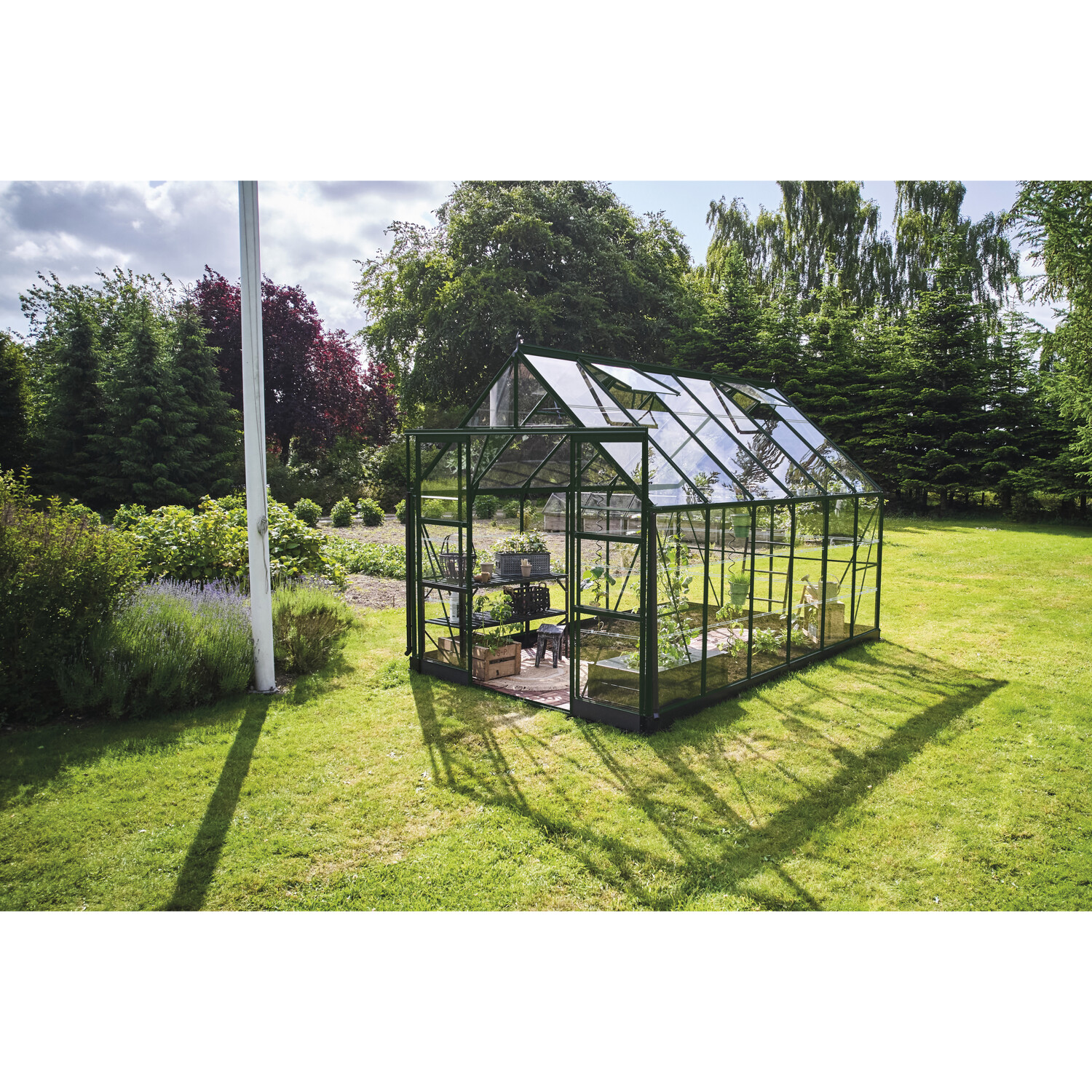 Halls Gewächshaus 'ICON 8', 254,7 x 379,1 cm mit 3 mm Blankglas, grün, 8,1 m² Grundfläche, Aluminium-Gestell, vier Dachfenster, Doppelschiebetüren mit niedriger Türschwelle