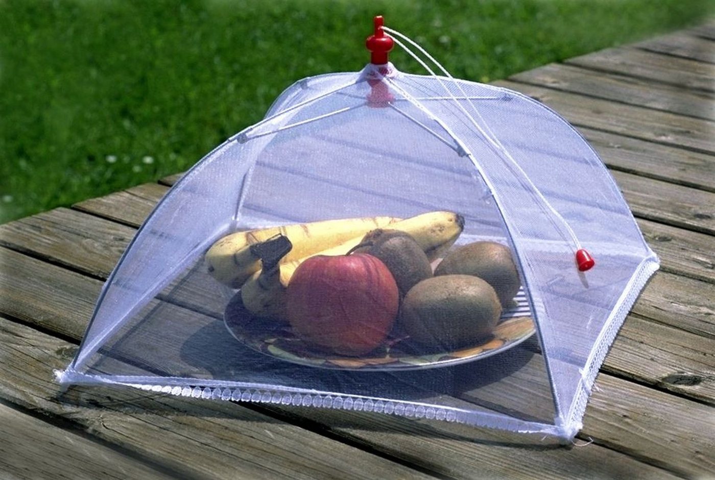 Relags Moskitonetz Insektenhaube für Speisen, Nylonmoskitotüll, zusammenlegbar