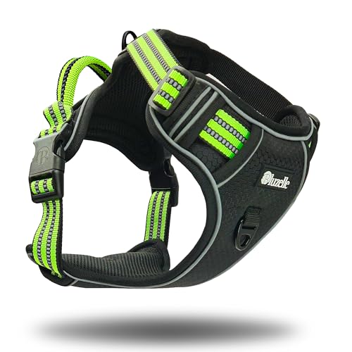 BLUZELLE Hundegeschirr für kleine Hunde, Brustgeschirr Hund mit Griff & Tasche für GPS Tracker, Warnweste Anti-Zug Hundeweste Leuchtende Reflektor Gurte Gepolstert Atmungsaktiv, XS, Grün