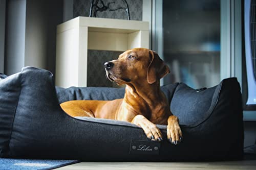 Lebon - Hundebett Carl Plus -120x90x30cm -Orthopädisch- mit Liegedecke zum befestigen - Deluxe - Made IN EU