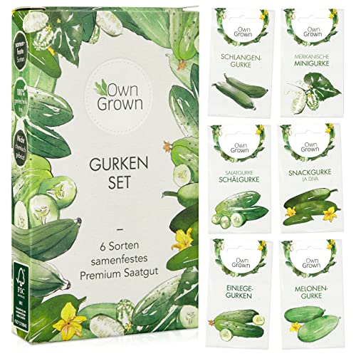 Gurken Samen Set 6 Sorten Gurken Saatgut Mit Freilandgurken Samen Einlegegurken