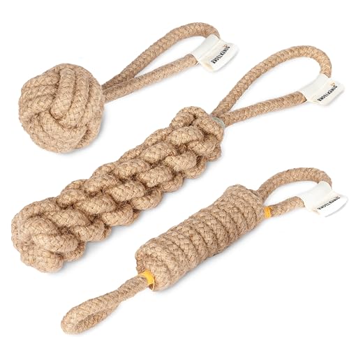 Rudelkönig Hundespielzeug Seil 3er Set, Zerrspielzeug aus 100% natürlicher Baumwolle, robust und umweltfreundlich