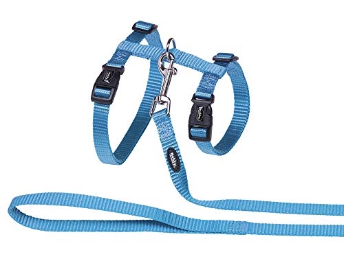 Nobby Katzengarnitur XL türkis