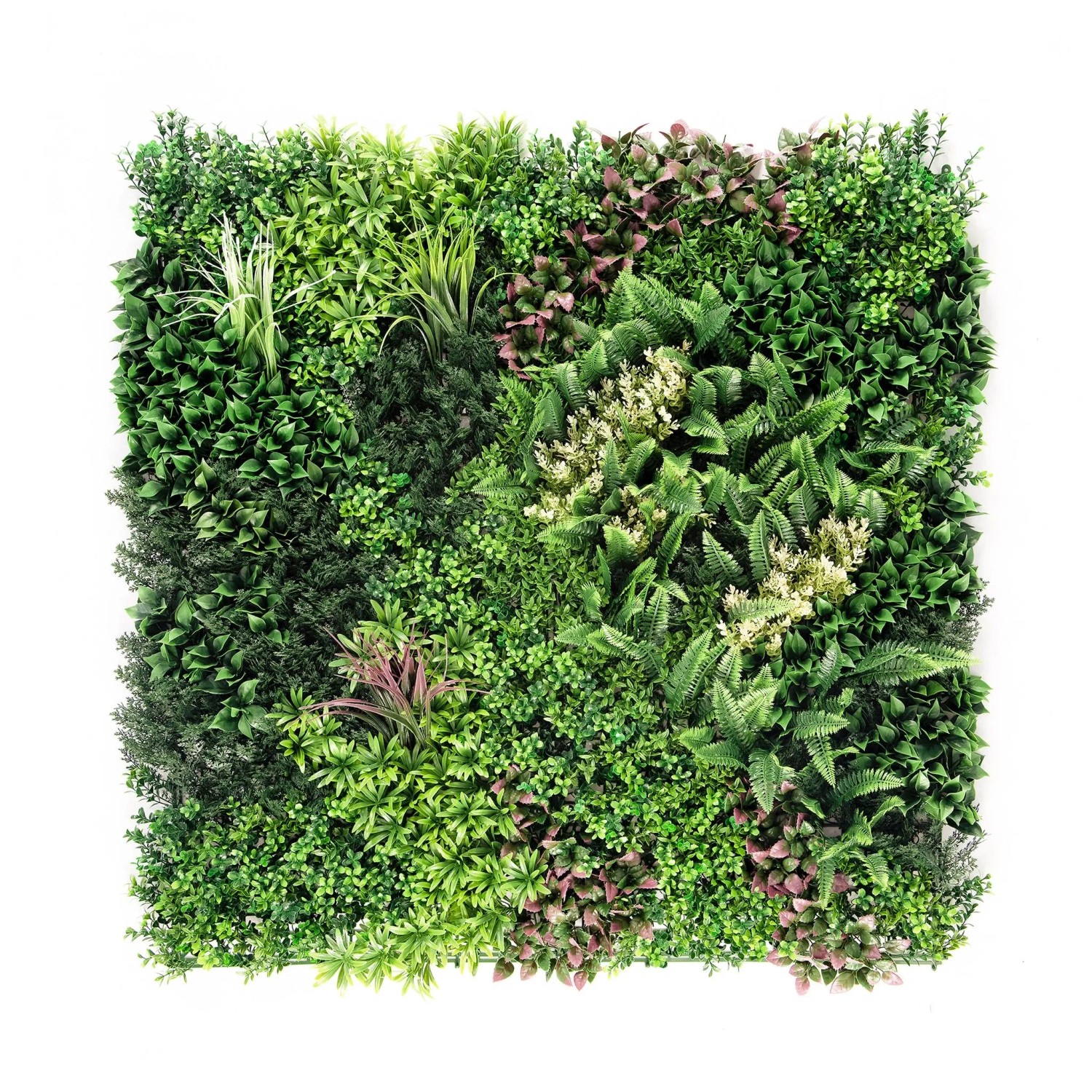 Floordirekt Pflanzenwand Hera, Kunstpflanzen-Panel 100 x 100 cm, erweiterbar mit Klick-System для Innen- und Außenbereiche
