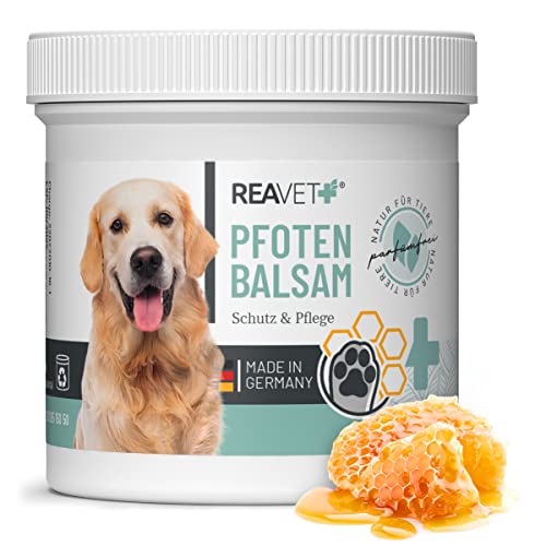 ReaVET Pfotenbalsam Hund 120ml für weiche Hundepfoten - Natürliche Hunde Pflege mit Sheabutter, Kokosöl & Bienenwachs - Pfotenpflege Katze, Pfotenschutz Creme - Zubehör Winter & Sommer