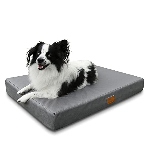 your GEAR Biella 100x70x10 cm orthopädisches Hundebett, Hundematte, Hundekissen, Oeko-TEX, waschbar
