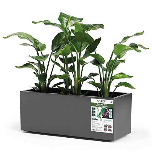 euro3plast Pflanzkasten Greener Kebe 100 cm, anthrazit, mit Wasserreservoir und feststellbaren Rollen, UV-beständig und 100 % recycelbar