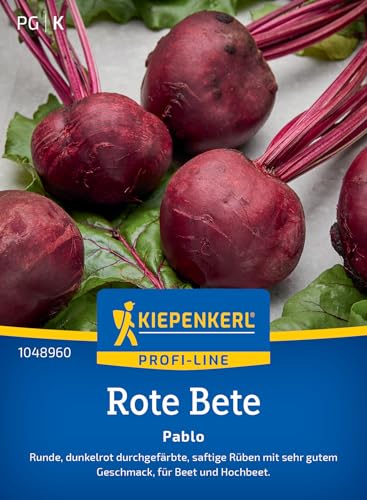 Kiepenkerl Profi-Line Rote Bete Pablo F1-Hybride, kugelrund und saftig, tief dunkelrot, reich an Vitaminen und Mineralien