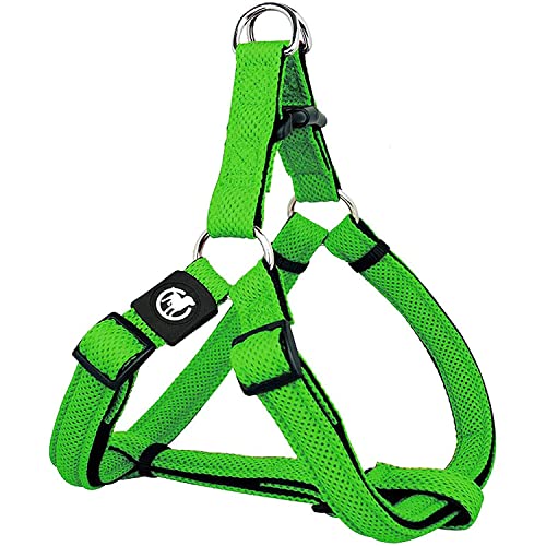 DDOXX Hundegeschirr Air Mesh, Step-In, verstellbar, gepolstert | viele Farben & Größen | für kleine, mittlere & große Hunde | Brust-Geschirr Hund Katze Welpe groß | Katzen-Geschirr klein | Grün, M