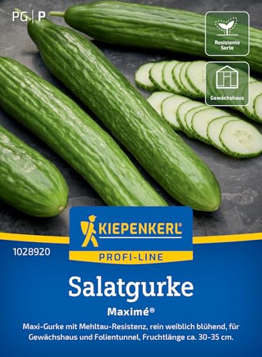 Kiepenkerl Profi-Line Salatgurke Maxime F1-Hybride, kernarm, dunkelgrün, robust und resistent gegen echten Mehltau