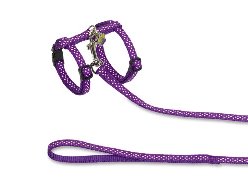 Nobby Katzengarnitur "DOTS" lila