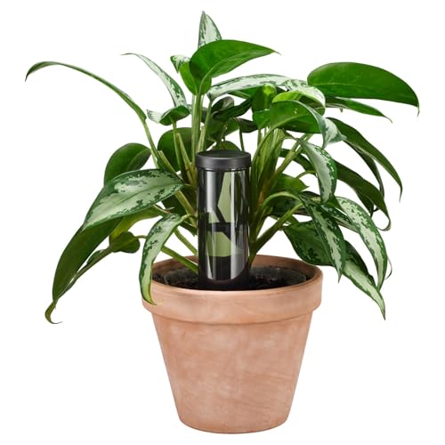 Fiskars Wasserspender 350 ml, UV-beständiger Kunststoff mit Keramikkegel für selbstständige Pflanzenbewässerung