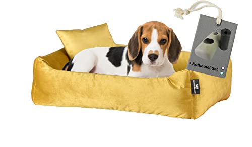 Rohrschneider Hundebett Kuschelsofa Weich + Hundekotbeutelset (M, Senf) - Nestcharakter, Trendfarben, langlebig