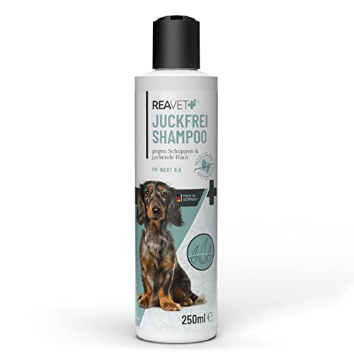 ReaVET Hundeshampoo gegen Schuppen & Juckreiz 250ml, bei Hautirritationen, trockene Sensible Haut, Rückfettend für Fellglanz ohne Duftstoffe, Anti Schuppen Juckreiz Shampoo Hund