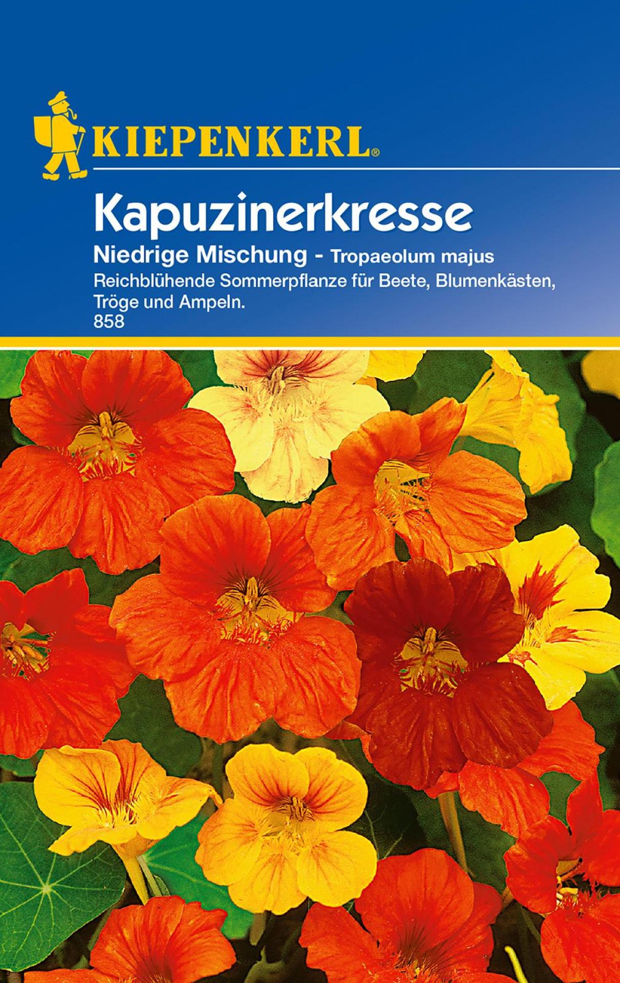 Kapuzinerkresse niedrige, Mischung