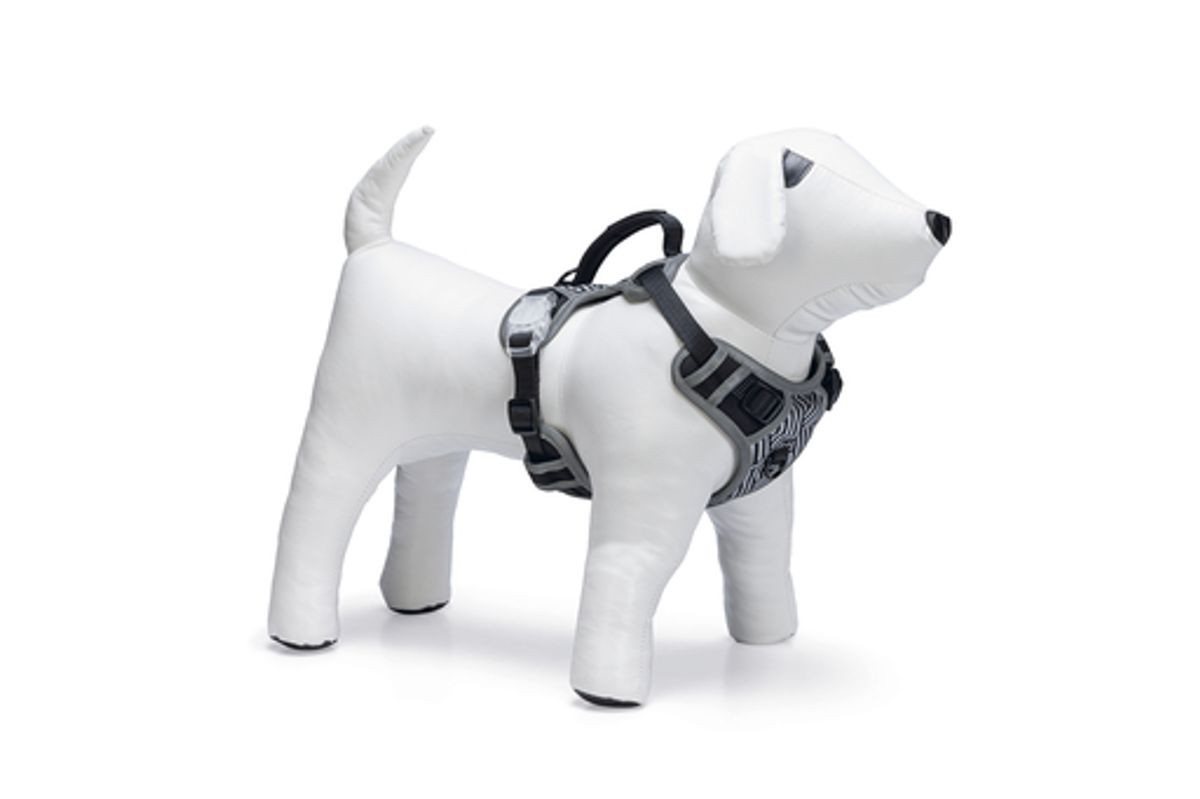 Beeztees Hunde-Leuchtgeschirr Safety Gear Parinca Y-Geschirr Hundegeschirr – Nylon, USB-aufladbar, reflektierend, Y-förmige Brustplatte, inklusive Griff (Erhältlich in 4 Größen)