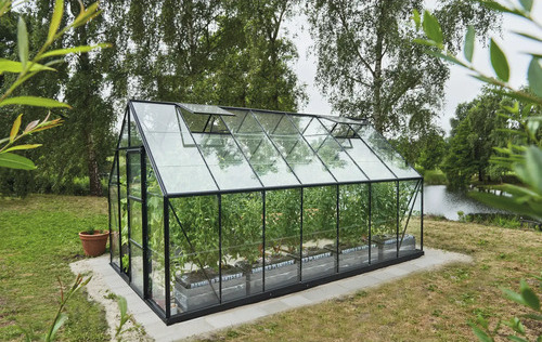 Halls Gewächshaus Universal 148 Blankglas 3 mm 257 x 446 cm Schwarz mit Doppelschiebetür und Dachfenstern
