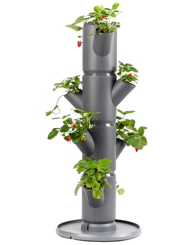 Gusta Garden SISSI STRAWBERRY Erdbeerbaum Starter Anthrazit - Vertikales Pflanzsystem für gesunde Erdbeeren