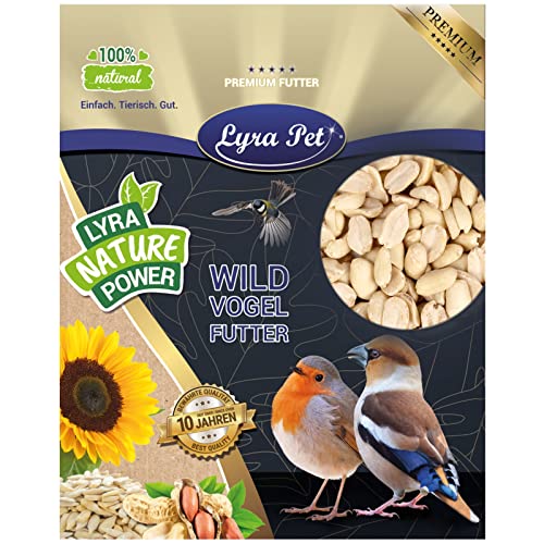 Lyra Pet® | 25 kg Erdnusskerne Splits | Wildvogelfutter Ganzjährig | Nährstoffreiches Streufutter | Energiespender für Alle Wildvögel | Erdnüsse ohne Schale | Vogelfutter für Sommer und Winter
