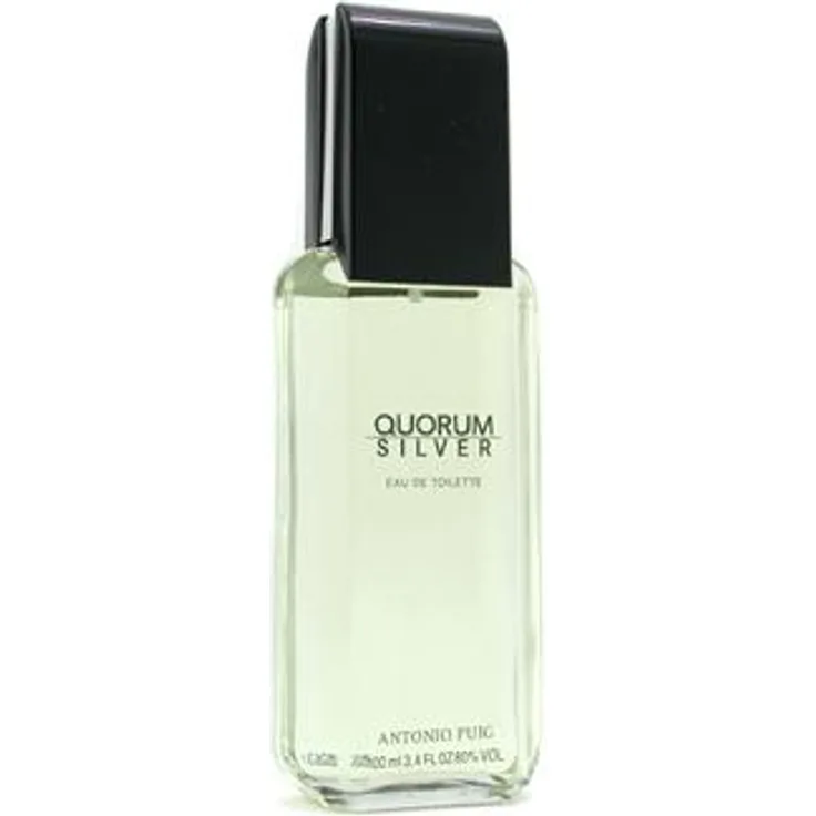 Antonio Puig Quorum Silver Eau de Toilette (EdT) Herrenduft 100 ml
