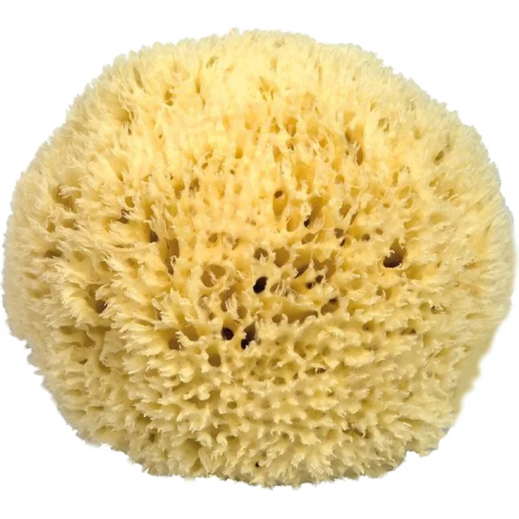 CROLL & DENECKE Naturschwamm, Natur, 10 cm