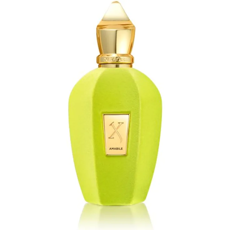 Xerjoff Amabile Eau de Parfum (EdP) Damenduft, 100 ml