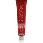 Schwarzkopf Igora Royal Premium-Haarfarbe 6-6 dunkelblond schoko 60 g