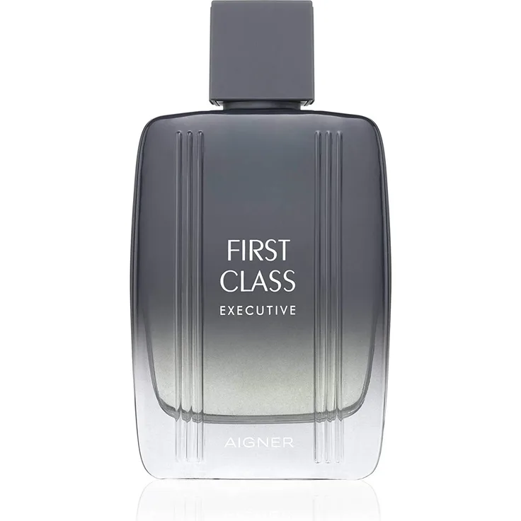 Aigner First Class Executive Eau de Toilette (EdT) Herrenduft 100 ml