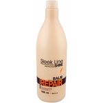 Stapiz Sleek Line Repair Haarpflege für geschädigtes Haar 1000 ml