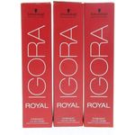 Schwarzkopf Igora Royal Premium-Haarfarbe 8-1 hellblond cendre 60 g