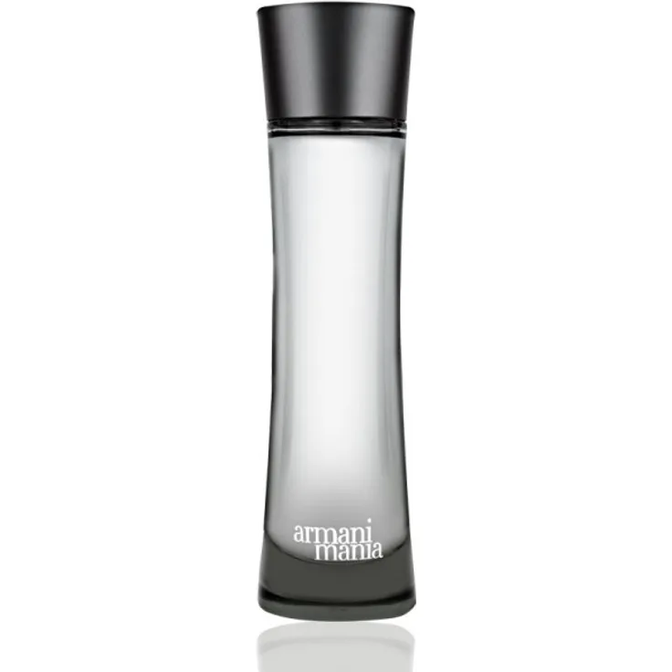 Giorgio Armani Mania Homme Eau de Toilette (EdT) Herrenduft 100 ml