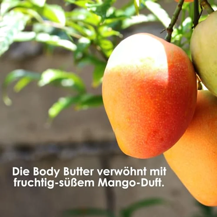 Jean & Len Exotische Body Butter Mango & Avocado, intensive Pflege für trockene Haut, pH-hautideal, ohne Parabene & Silikone, 200 ml – Bild 5