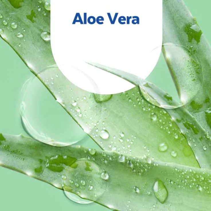 Sagrotan Handseife Aloe Vera – Hygienische Flüssigseife – 1 x 250 ml Seifenspender – Bild 4