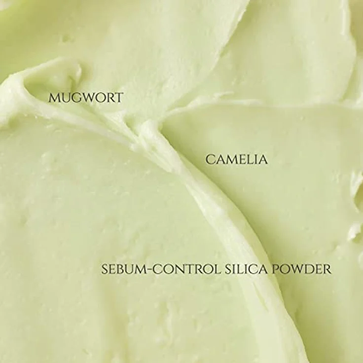 Beauty of Joseon Matte sun stick : Mugwort+Camelia(18g, 0.63fl.oz) – Bild 3