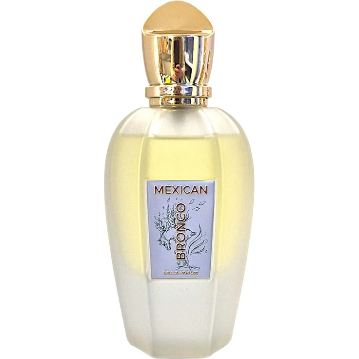 Volare Mexican Bronco Eau de Parfum 100ml, Unisex Duft mit würzigen Noten und edlem Leder
