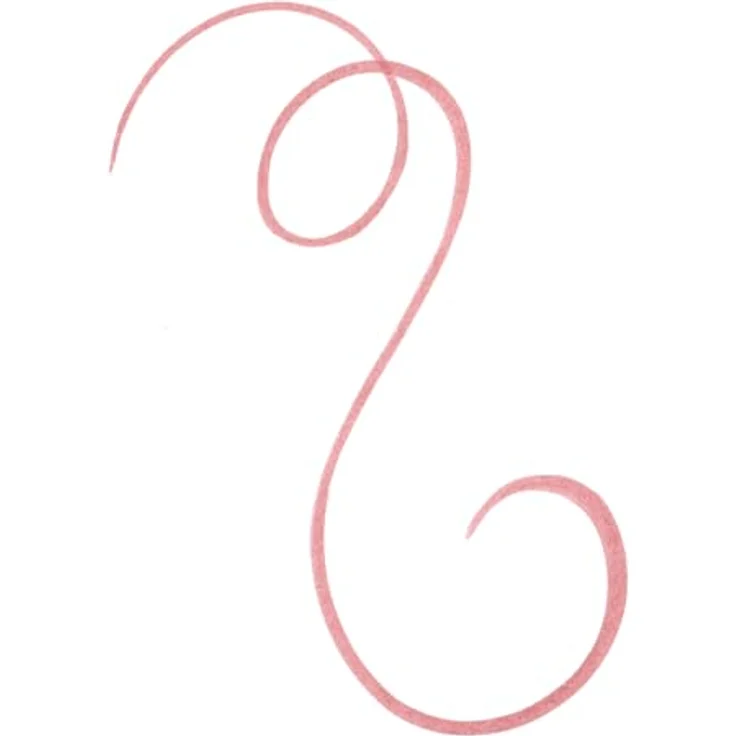 essence line n' STAIN! TATTOO LIP LINER, Nr. 02, Braun, langanhaltend, definierend, vegan, ohne Parfüm, 1er Pack (2.5ml) – Bild 3