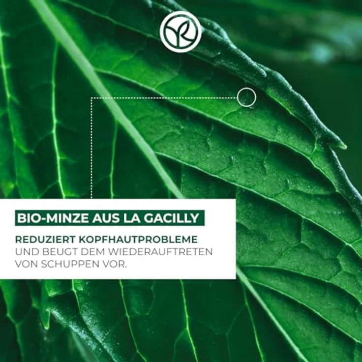 Yves Rocher PFLANZENPFLEGE HAARE Anti-Schuppen Shampoo, ohne Sulfate, vegane Formel mit reinigendem Granatapfel und Agaven-Fructane – Bild 3