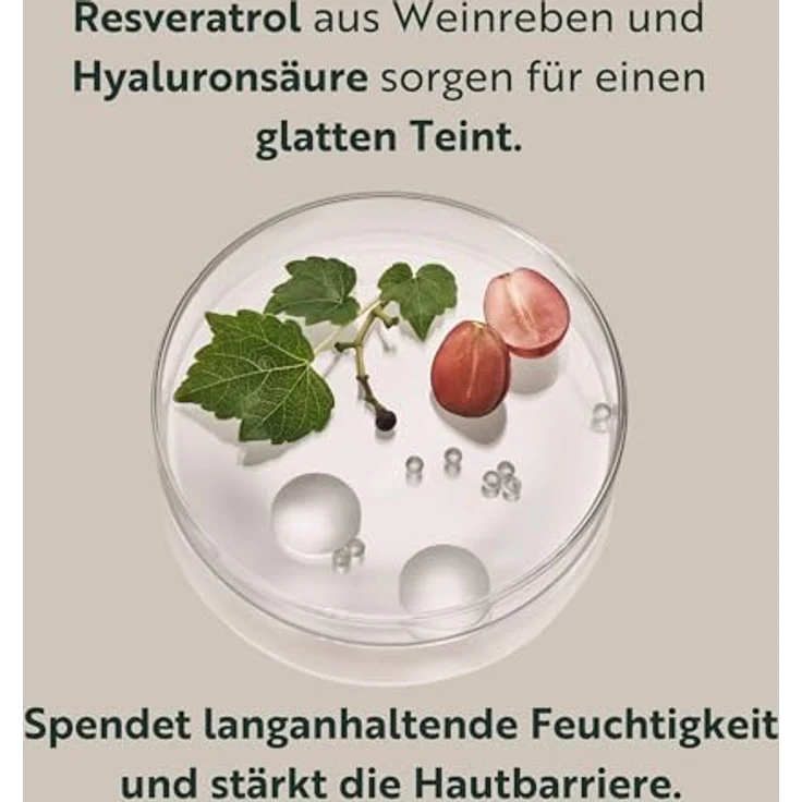 M. Asam RESVERATROL PREMIUM NT50 Lifting Day Creme SPF 15, straffende Anti-Aging Gesichtscreme für reife Haut, 100ml, mit Resveratrol und intensiver Feuchtigkeit – Bild 3