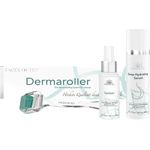 FACES OF FEY Microneedling Set Basic 0,5mm Gesichtspflegeset 1 Stück mit pflegender Wirkung