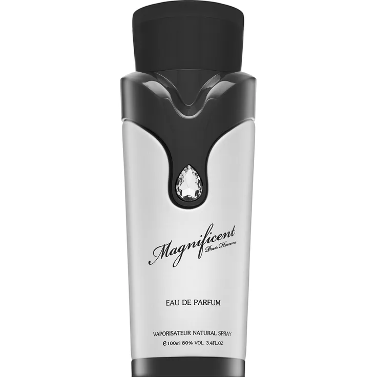 Armaf Magnificent Pour Homme Eau de Parfum (EdP) Herrenduft 100 ml