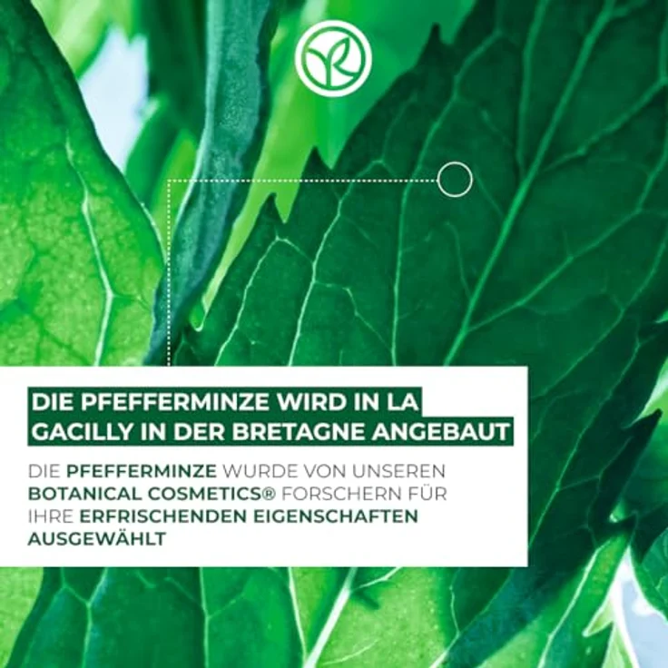 Yves Rocher PURE MENTHE - Reinigungsgel - Klärt die Poren - 390 ml – Bild 3