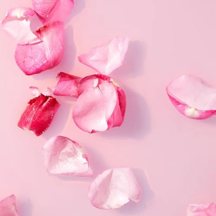 Labello Velvet Rose Lippenpflegestift, 24h Feuchtigkeit, mit Sheabutter und Jojoba-Öl, dezentem Rosenduft, 4,8 g – Bild 4