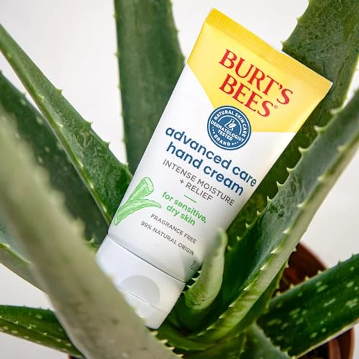 Burt's Bees Advanced Care Hand Cream, Handcreme mit Aloe Vera und Sheabutter für empfindliche Haut, 71 g, duftfrei – Bild 2