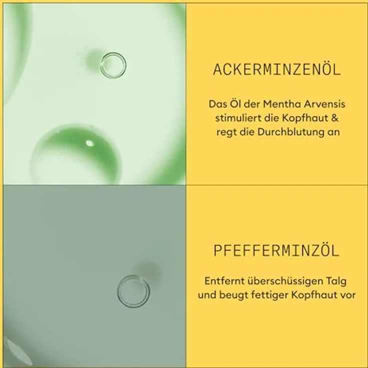 NIOXIN Scalp + Hair System 1 Conditioner - Haarspülung für unbehandeltes Haar. Beugt dünner werdendem Haar vor - mit Biotin, Koffein & Niacinamid (300 ml) – Bild 5