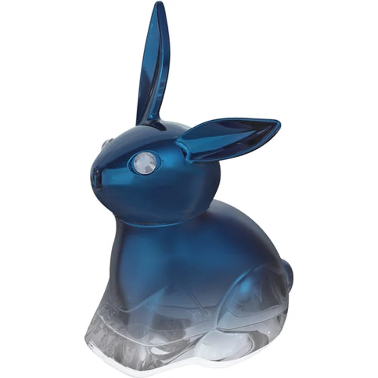 Jean-Pierre Sand Blue Hopp Eau de Parfum (EdP) Damenduft 75 ml - Preisvergleich – Bild 1
