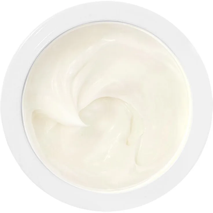 Bobbi Brown Extra Repair Moisture Cream Intense Refill Gesichtscreme 50 ml